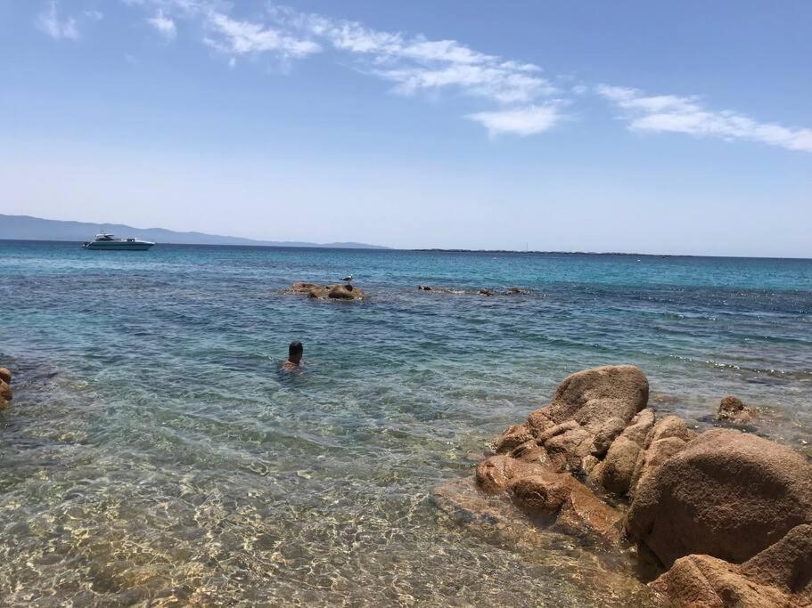 Bel App T2 En Bord De Mer Vue Sanquinaires Piscine Ajaccio  Extérieur photo